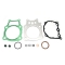 NAMURA USZCZELKI TOP-END HONDA TRX 350 RANCHER '99-'06 (810867)