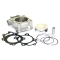 ATHENA CYLINDER KOMPLETNY HONDA CRF 250R '04-'09, CRF 250X '04-'15 BIG BORE 82MM (+4MM=276CCM) 13,1:1