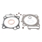 WINDEROSA (VERTEX) USZCZELKI TOP-END HONDA CRF450X 05-17 BIG BORE 99MM