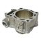 PSYCHIC CYLINDER HONDA CRF 450X (05-16) STD = 96MM (EC210-020,P400210100020)