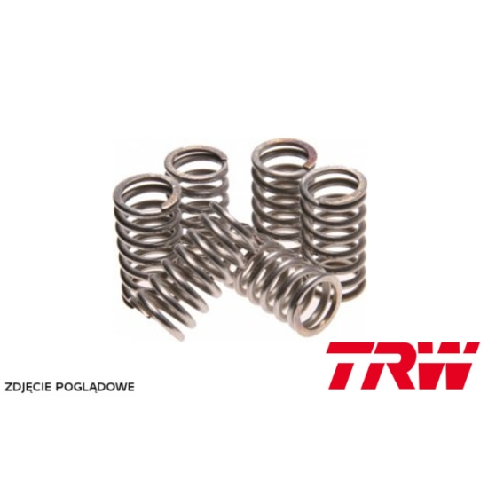 TRW ZF SPRĘŻYNY SPRZĘGŁOWE YAMAHA WR 250 R 08-14, WR 250 X 08-14, FZS 600 FAZER 00-03, XV 650 VIRAGO 92-98, YZF 600 R THUNDER CAT 96-02, (EBS017)