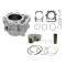 BRONCO CYLINDER KOMPLETNY YAMAHA YFM 700 RAPTOR 06-14 STD = 102MM (20004-K01)