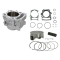 BRONCO CYLINDER KOMPLETNY YAMAHA YFM 700 GRIZZLY 14-15, YXC 700 VIKING 14-18 STD = 102MM (20104-K02)