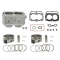 BRONCO CYLINDER KOMPLETNY POLARIS SPORTSMAN 800 HO EFI (08-09), 800 RZR/4/S (10) STD = 80MM (60002-K01)
