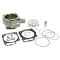 ATHENA CYLINDER KOMPLETNY HONDA CRF 450R '09-'13 BIG BORE 100MM (+4MM=490CCM) 12,5;1