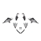BLACKBIRD KOMPLET NAKLEJEK (OKLEIN) POLARIS OUTLAW '06-'08 DREAM 2 (16)
