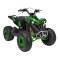 Pojazd Quad Spalinowy RENEGADE HIPERFECT 125CC Zielony